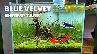 NANO AQUASCAPE TUTORIAL - STEP BY STEP BLUE VELVET SHRIMP TANK