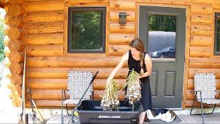 Log Cabin in the Woods - Living Off Grid | Garlic Harvest and Fishing