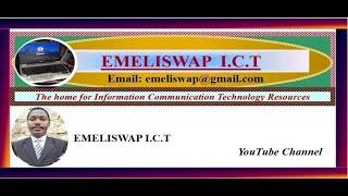 Introduction to Emeliswap ICT Channel