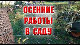 Осенние работы в саду