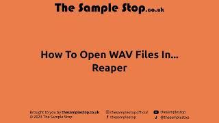  How To Open WAV Files In Reaper  #shorts