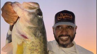 DLPeck Fishing - evening fishing live! #bassfishing #fishing