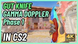  CS2 Gut Knife Gamma Doppler (Phase 1) | CS2 Knife In-Game Showcase [4K]