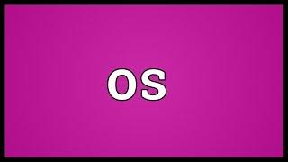 Os Meaning