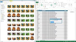 Excel Demo: Image Downloader Using VBA