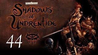 Neverwinter Nights: Shadows of Undrentide - 44 - Bear Force One