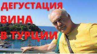 Турция сезон 2021. ч.1. Дегустация вишневого вина. А где восторг? / Русский самогонщик в Турции.