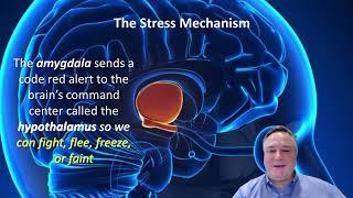 Feel Like Your Brain Has Been Hijacked? It's Time to Regain Control. Improve Executive Function.