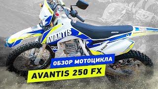Обзор мотоцикла Avantis 250 FX Базовой комплектации