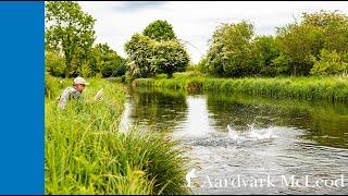 Mayfly Moments At Wherwell On The River Test