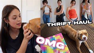 VLOG! Try on THRIFT HAUL & Dog Painting Challenge!