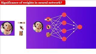 Weights in Neural Networks | What are Weights in ANN | Role of the Weights in Neural Networks