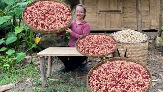 Harvest red and white peanuts to dry roast and sell at the market, and take care of pigs