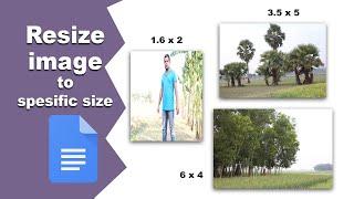 How to resize image to any specific size in Google Docs