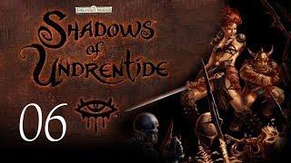 Neverwinter Nights: Shadows of Undrentide - 06 - Into the Snowy Wastes