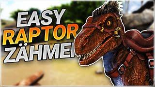  Ark Raptor Zähmen - Für Anfänger 2019 | Ark Survival Evolved