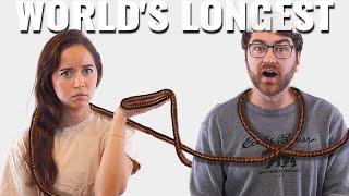 World's Longest: Animals That DEFY Nature With Their Length!