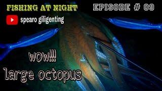 NIGHT SPEARFISHING || EPISODE 09 Gurita berukuran besar