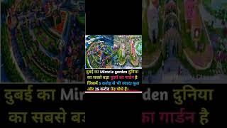 #Short #amazingfact #youtubeshort #viralgk #TrendingGk/ Fact about Dubai miracle garden