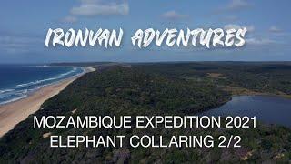 Mozambique Ep4 Elephant Collaring Part 2 - "Ironvan" Adventures with Wild Wonderful World