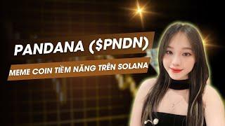 * Pandana ($PNDN) – Dự Án Meme Coin Tiềm Năng Trên Solana | Hướng Dẫn Mua Presale Chi Tiết