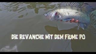 Die Revanche mit dem Fiume Po - Trailer #icatchfish #po #fluss #trailer #fischen #italy