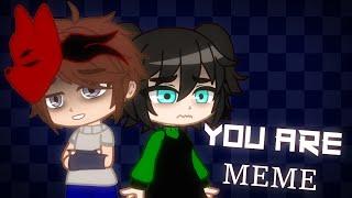 {FNAF / FNAC} || You Are MEME | ft. Michael Afton & Mary Schmidt | Contain Flashing Images ||