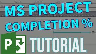 MS Project - How to set completion percentage