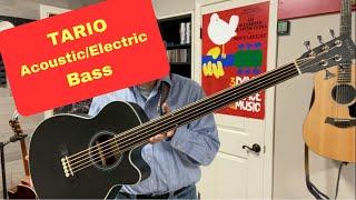 Tario Acoustic/Electric Bass