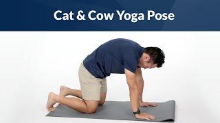 Cat & Cow Yoga Pose for Back Pain