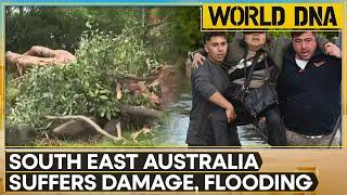 Australia: Cyclone Alfred Triggers Massive Blackouts, Flooding | World DNA | WION News