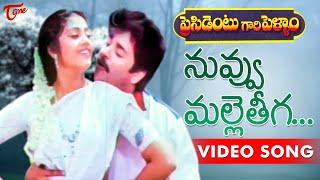 President Gari Pellam Songs | Nuvvu Malleteega | Nagarjuna | Meena