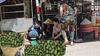 Harvesting fresh starfruit to sell at the market - The life of a 16-year-old single mother