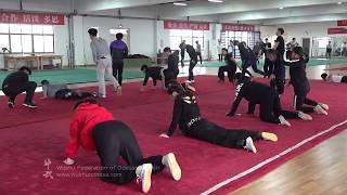 Wushu taolu intermediate level group warming up China Wudang