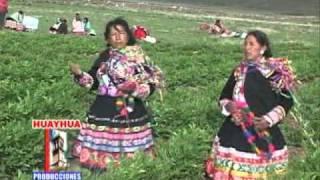 HUAYHUA PRODUCCIONES - tupay kinsachata de Espinar - kinsachata vicuñita