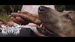 PRAY FOR PAIN - CADAVER [OFFICIAL MUSIC VIDEO] (2024) SW EXCLUSIVE
