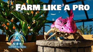Complete Ark Farming Guide - How to grow crops in Survival Ascended