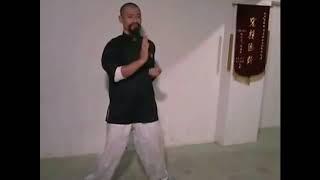 Mai Gei Wong Wing Chun form: Siu Nim Tau (Wong Nim Yi) 2