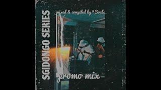 Sgidongo Series Promo Mix Mixed By 2 Souls