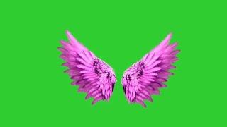 Pink angel wings green screen