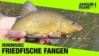 Angeln am Vereinssee | Friedfische einfach fangen | RUTE & ROLLE Classic | Anglerboard TV
