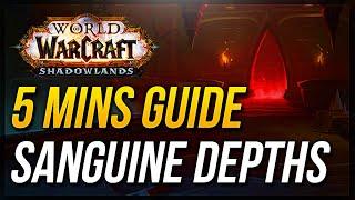 Sanguine Depths Guide  WoW Shadowlands Mythic Dungeon Walkthrough