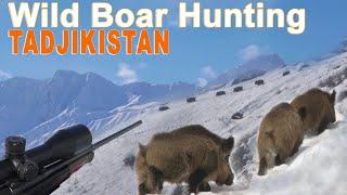 Wild Boar Attila Keiler Hunting with ski in Tadjikistan / 2019 (Chasse Sanglier Attila)