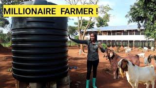All You Need To Start A Simple GOAT Farm Business!| DETAILED Plan, Farm Routine