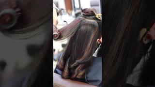 Highlights Hair Color  Red and Brown #shorts #highlights #haircolor