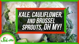 Kale, Cauliflower, and Brussels Sprouts Are the Same Species