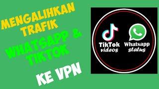 MikroTik Settings Split WhatsApp TikTok Traffic (switch it to vpn)