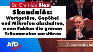 Wenn Fakten die grünen Träumereien zerstören | Dr. Christian Blex AfD