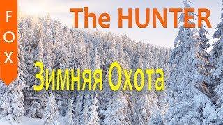 The Hunter Американский беляк и другие лоси.