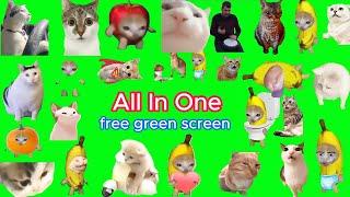 Cat memes green screen compilation, But【4K】